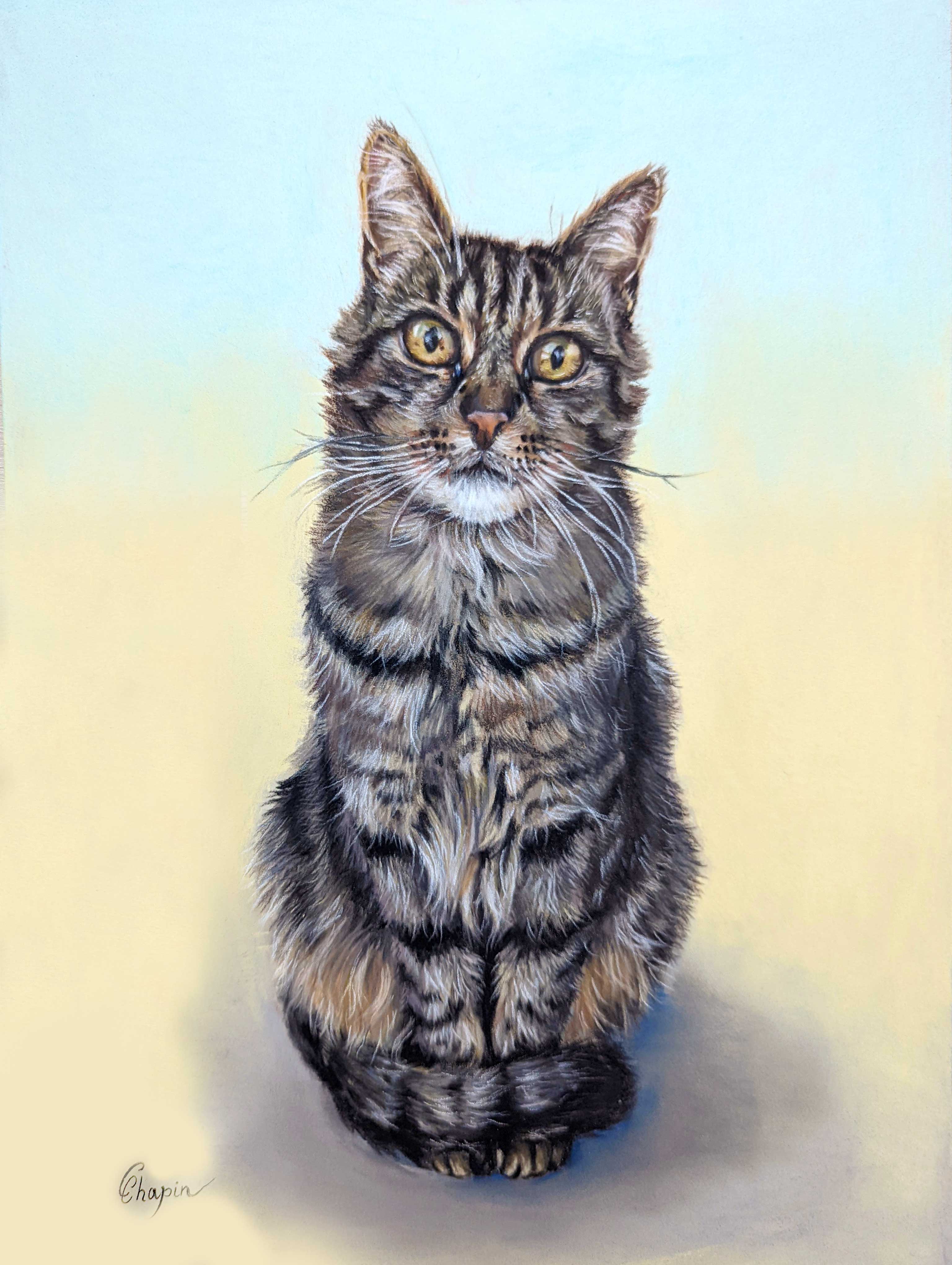 Portrait au pastel du chat Chaussette