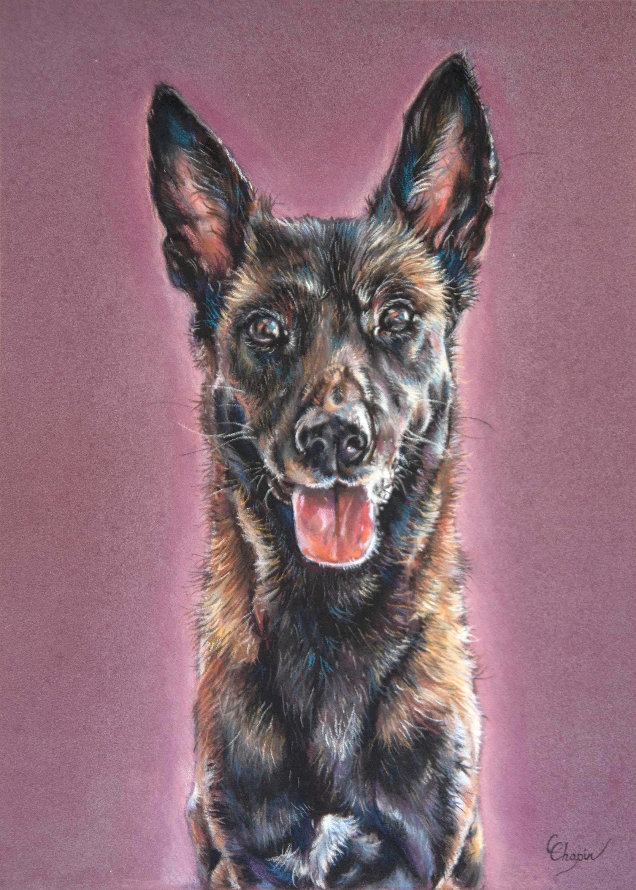 Portrait au pastel d'une chienne nommée Mylka
