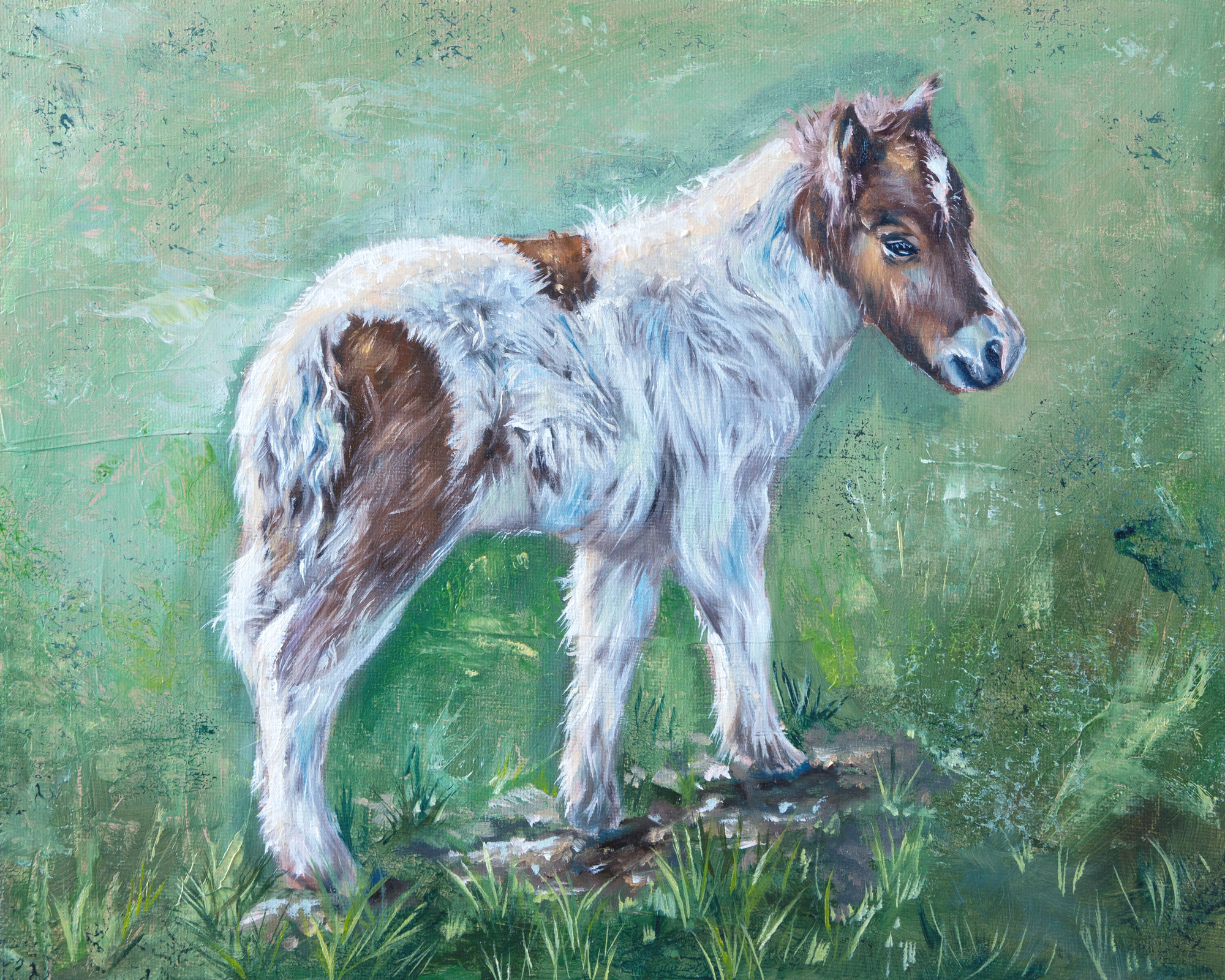 Peinture à l'huile d'un poney - Poulain