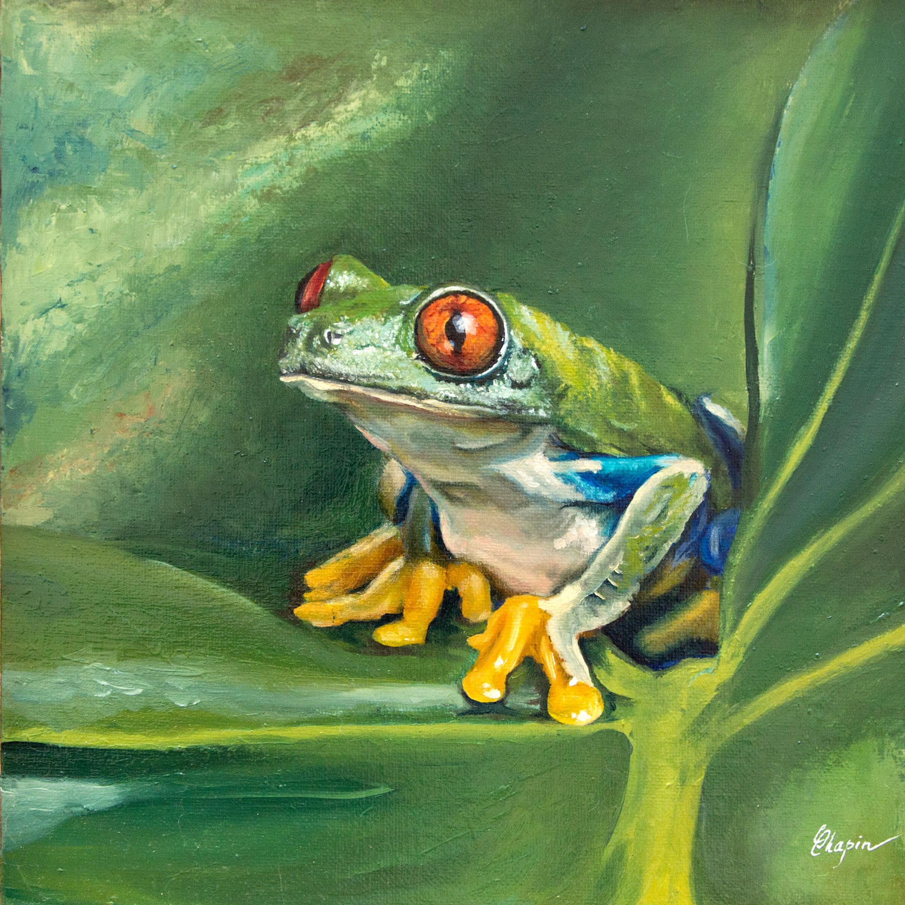 Peinture à l'huile d'une Grenouille - Triptyque voyage au Costa Rica