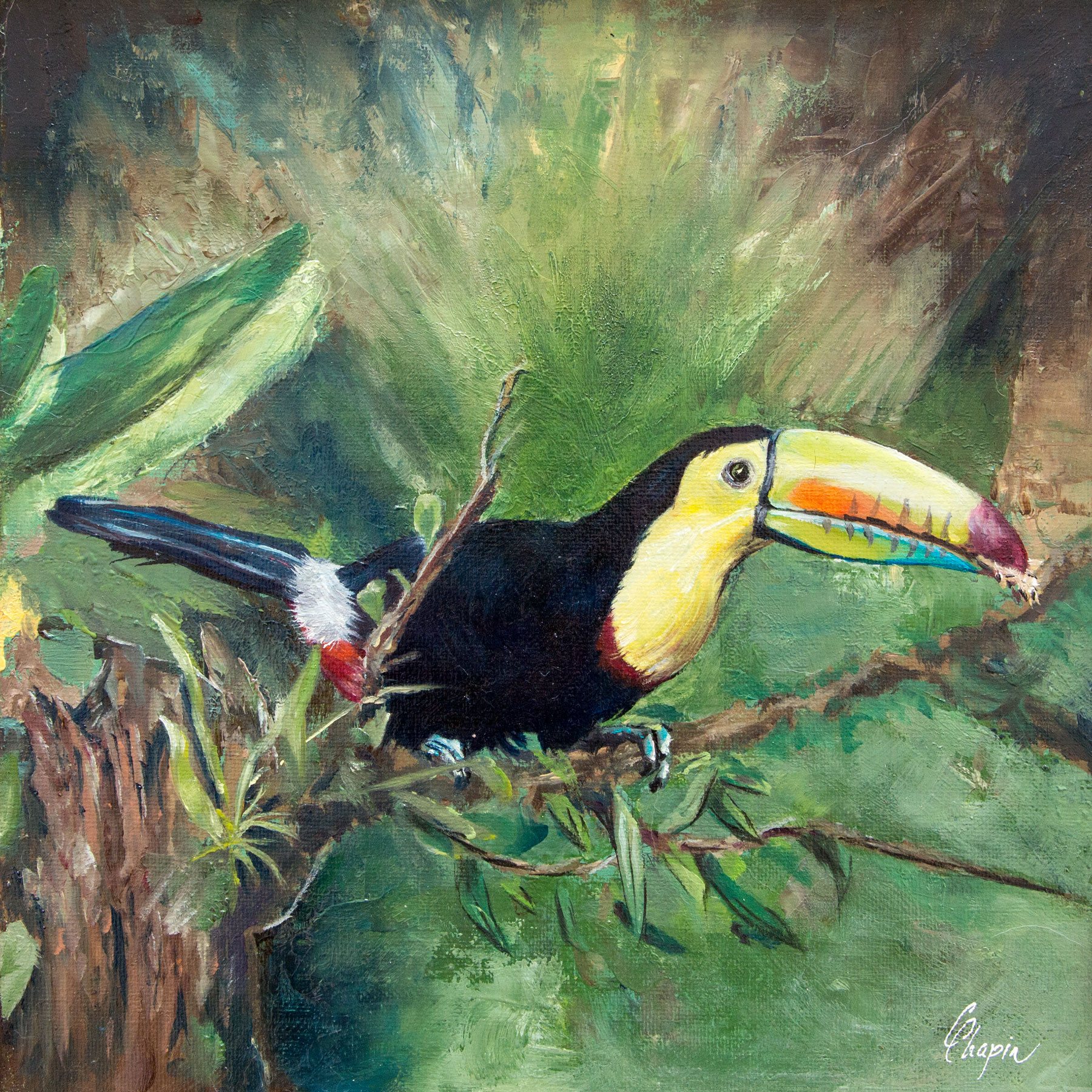 Peinture à l'huile d'un Toucan - Triptyque voyage au Costa Rica