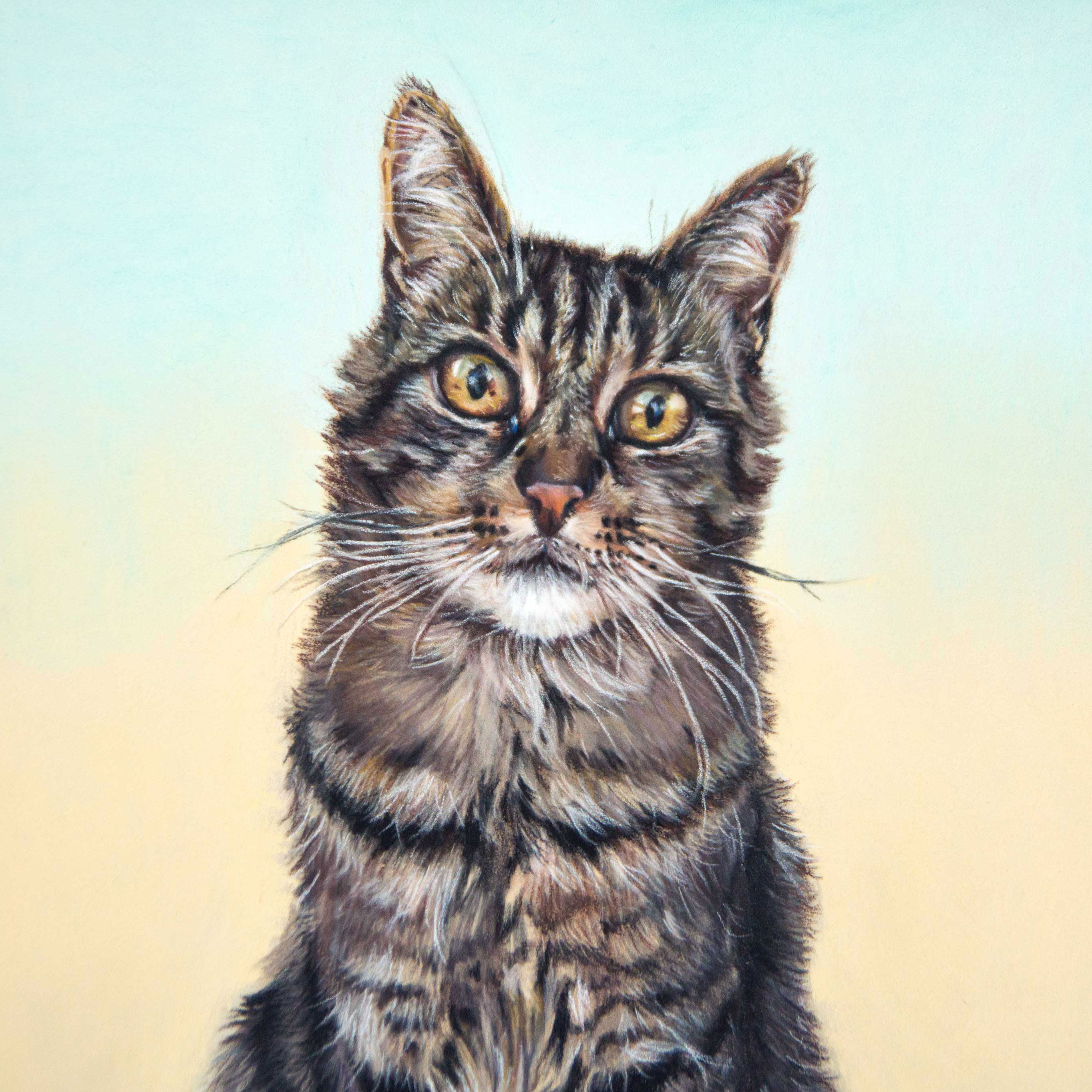 Portrait au pastel du chat Chaussette