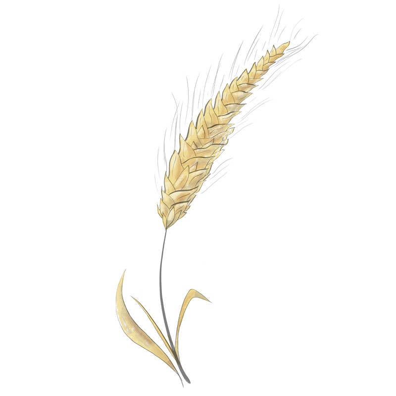 Symbole au dessin d'un épis de blé doré